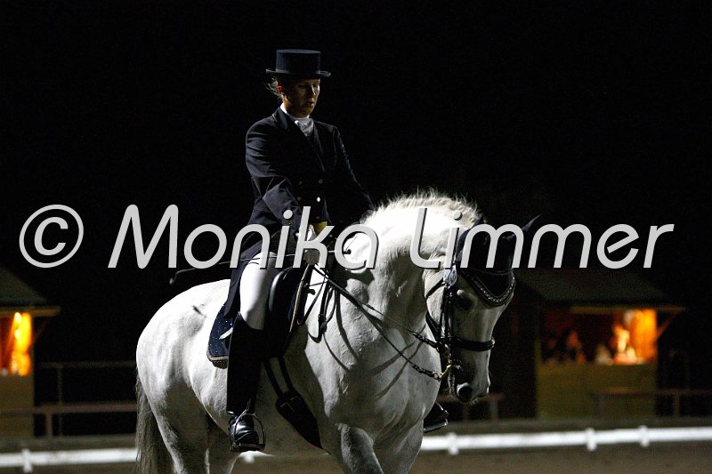 009L3754_Schimmel in  der Nacht.jpg